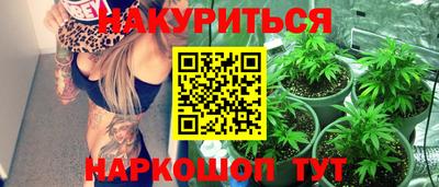 Альфа ПВП Малгобек