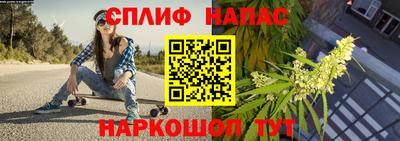 Альфа ПВП Малгобек