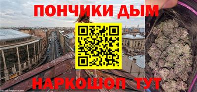 Альфа ПВП Малгобек