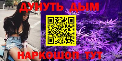 Альфа ПВП Малгобек
