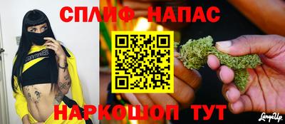 Альфа ПВП Малгобек