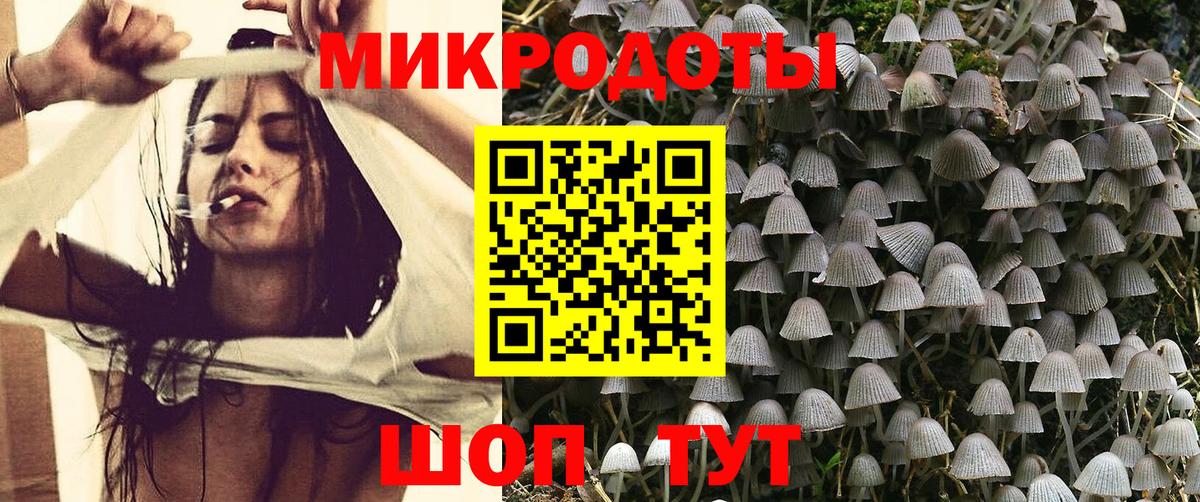 Черкесск  Псилоцибиновые грибы прущие грибы  Вход с VPN 