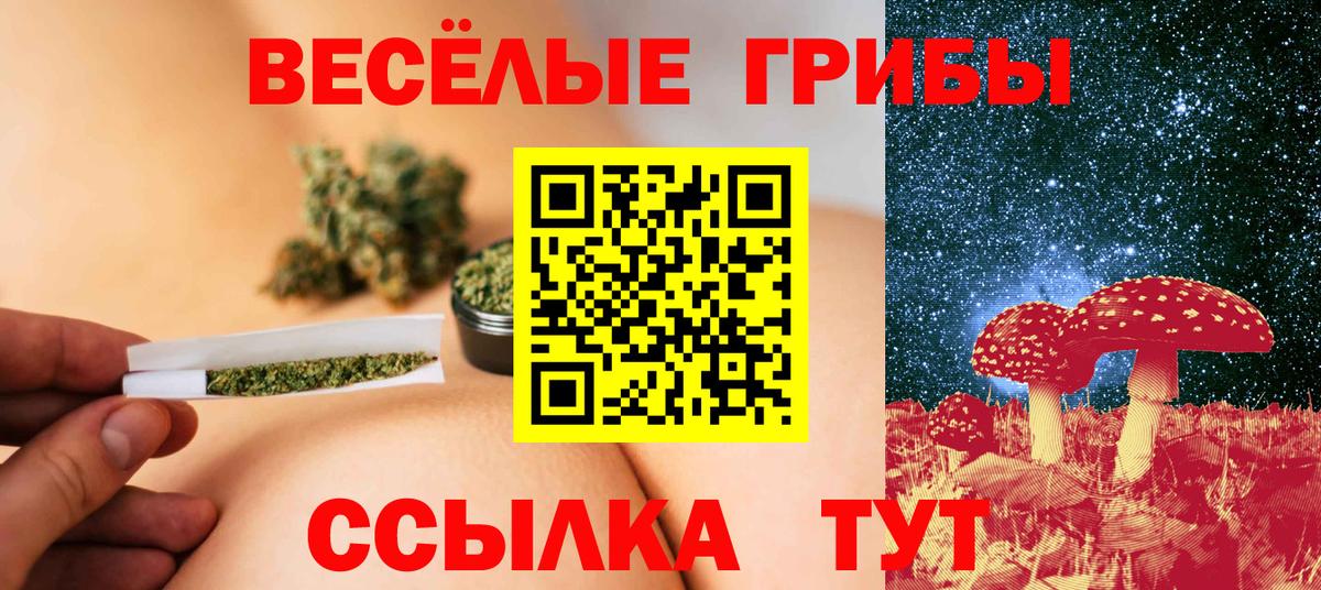 Галлюциногенные грибы Cubensis Черкесск